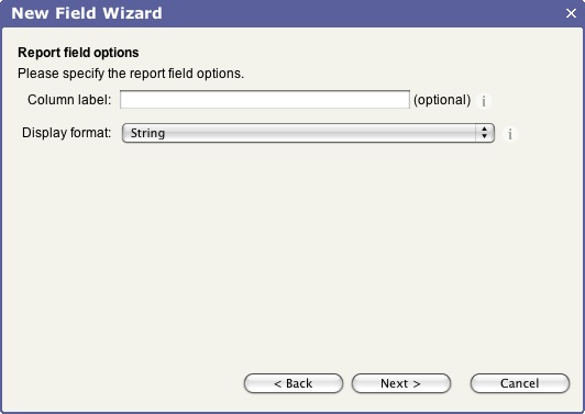 New Field Wizard Report Field Options