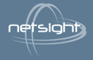 Netsight logo