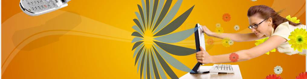 still version of Flash animation